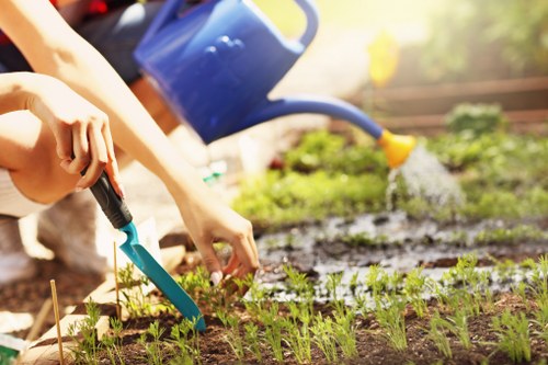 Garden clearance pricing in a Southwark terrace courtyard