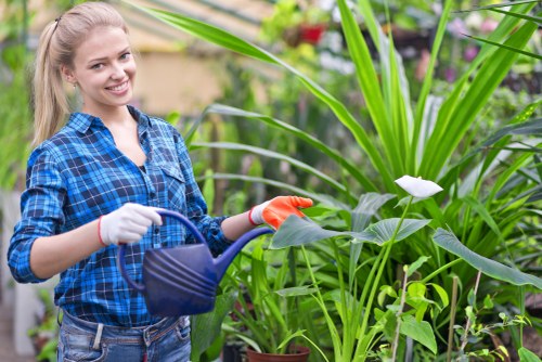Contemporary garden materials suitable for Southwark homes and businesses