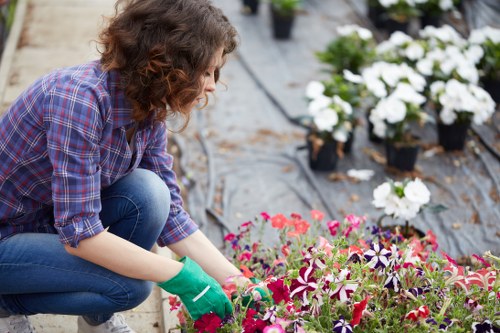 Garden landscaping project in Southwark with paving and planting