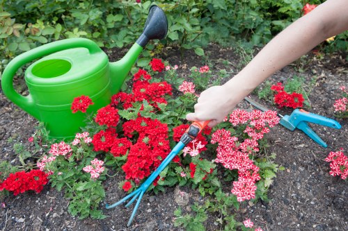 Graphic showing cookie types used on a landscaping website