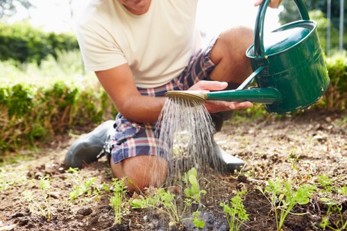 Supervisor checking corrective landscaping work in a garden