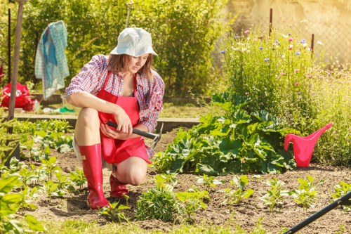 Low-maintenance garden makeover ideas suited to Southwark properties