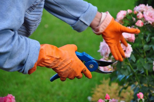 Landscaping team preparing a garden project with tools and materials