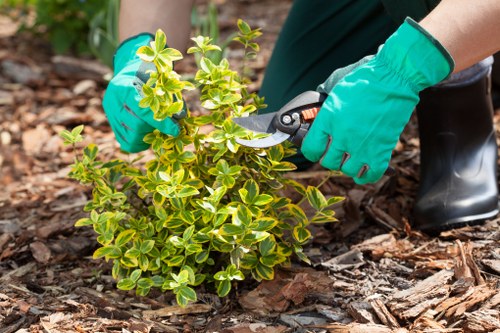 Professional Southwark landscaping approach to outdoor design