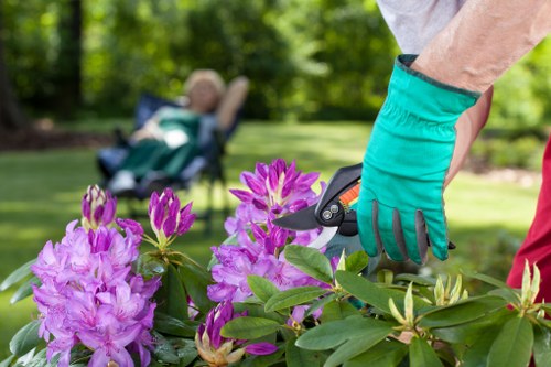 Final stage of a landscaping complaints process with resolution review