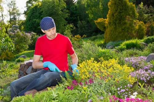 About Us Landscaping Southwark with sustainable garden design