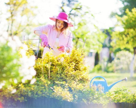 Supplier audit and risk assessment in landscaping supply chains