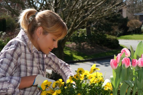 Reused landscaping materials and compostable waste supporting sustainability