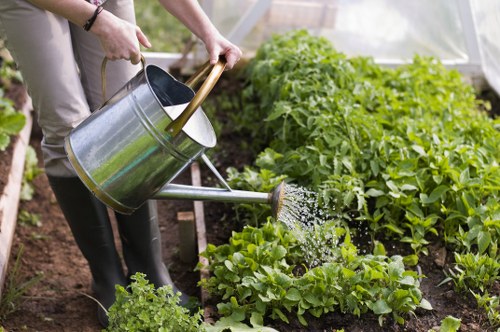 A local garden project in Southwark with access and layout planning